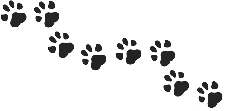 sample overlay image