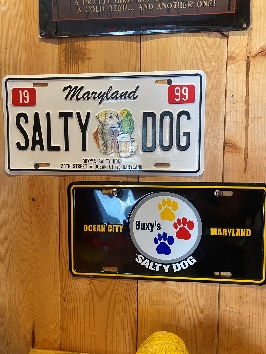 Salty Dog License Plate